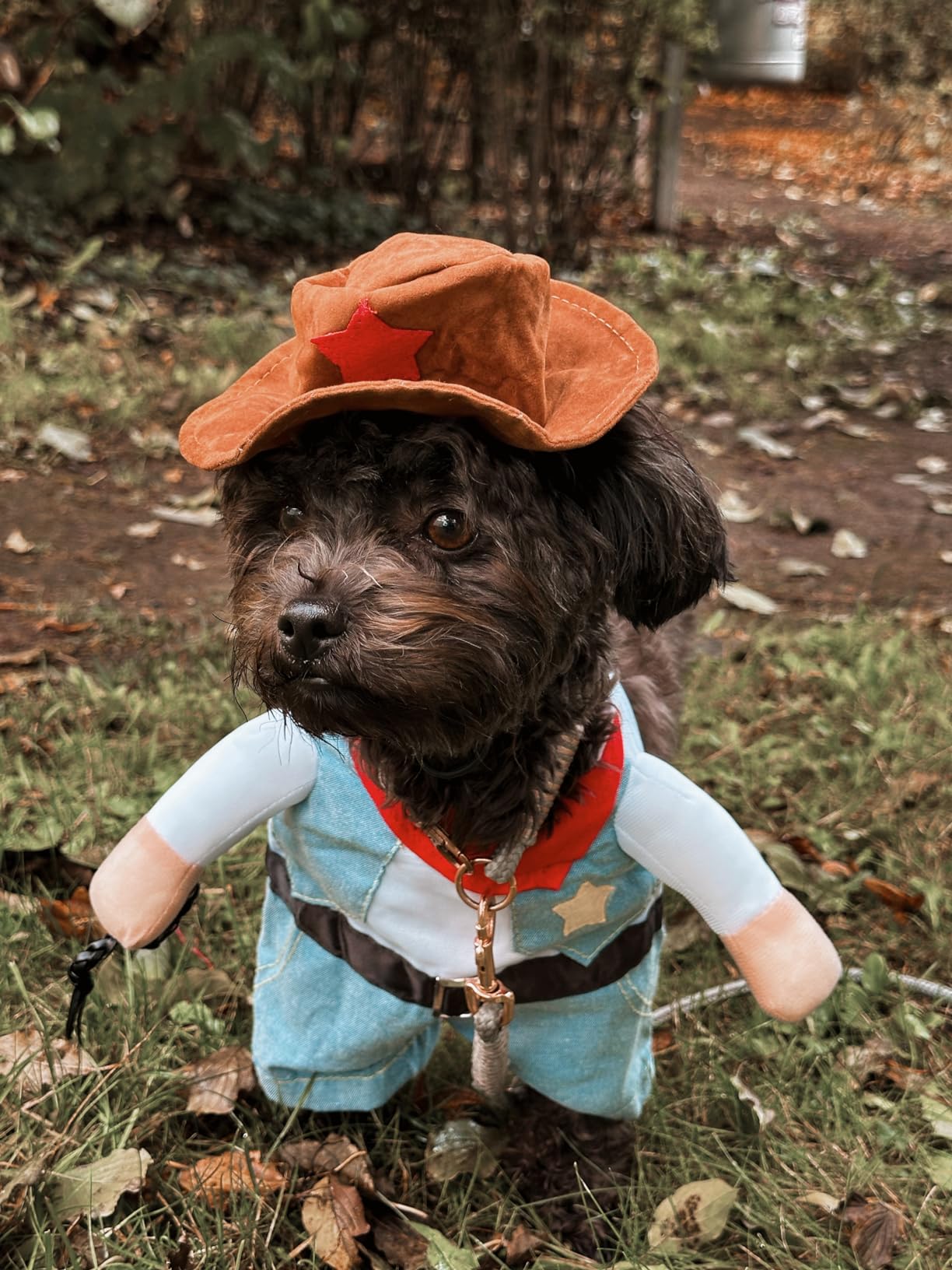 Kostium Szeryfa dla kota psa AKCESORIA HALLOWEEN