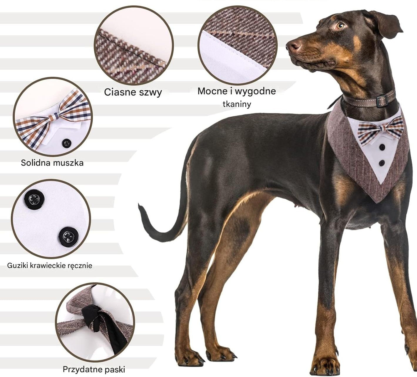 Muszka na ŚLUB WESELE regulowany dla PSA KOTA