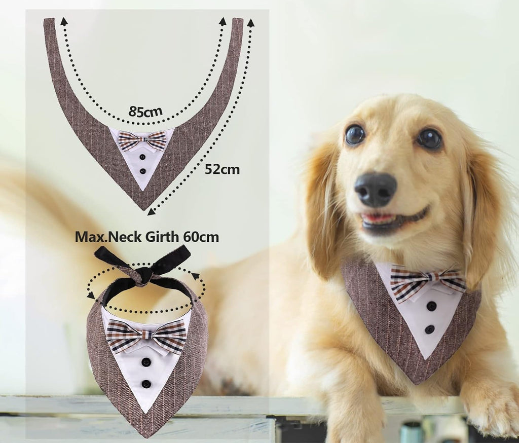 Muszka na ŚLUB WESELE regulowany dla PSA KOTA