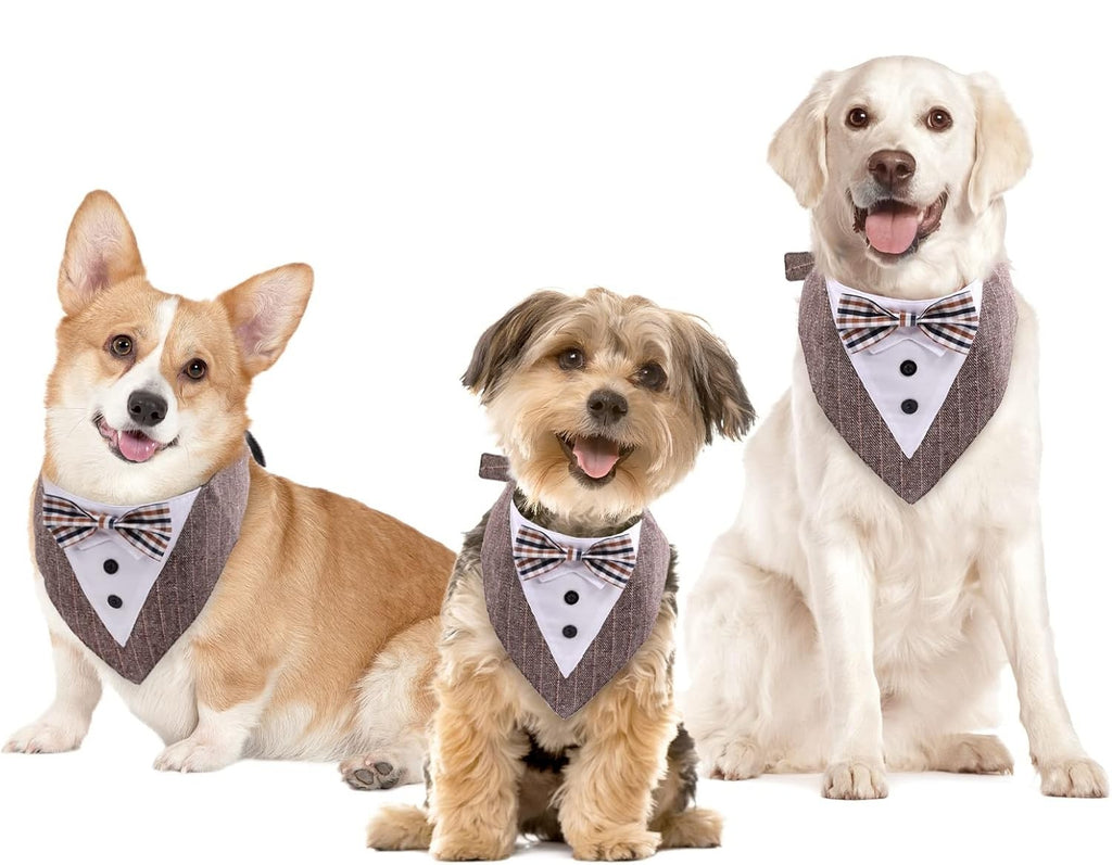 Muszka na ŚLUB WESELE regulowany dla PSA KOTA