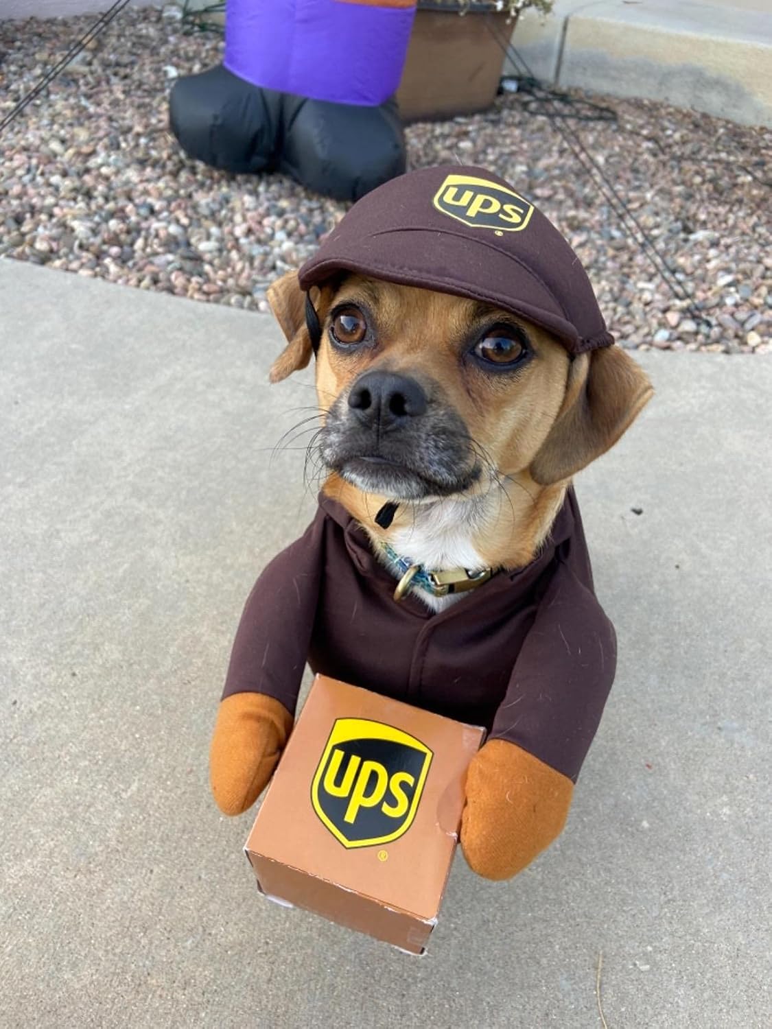 Przebranie Kurier UPS express