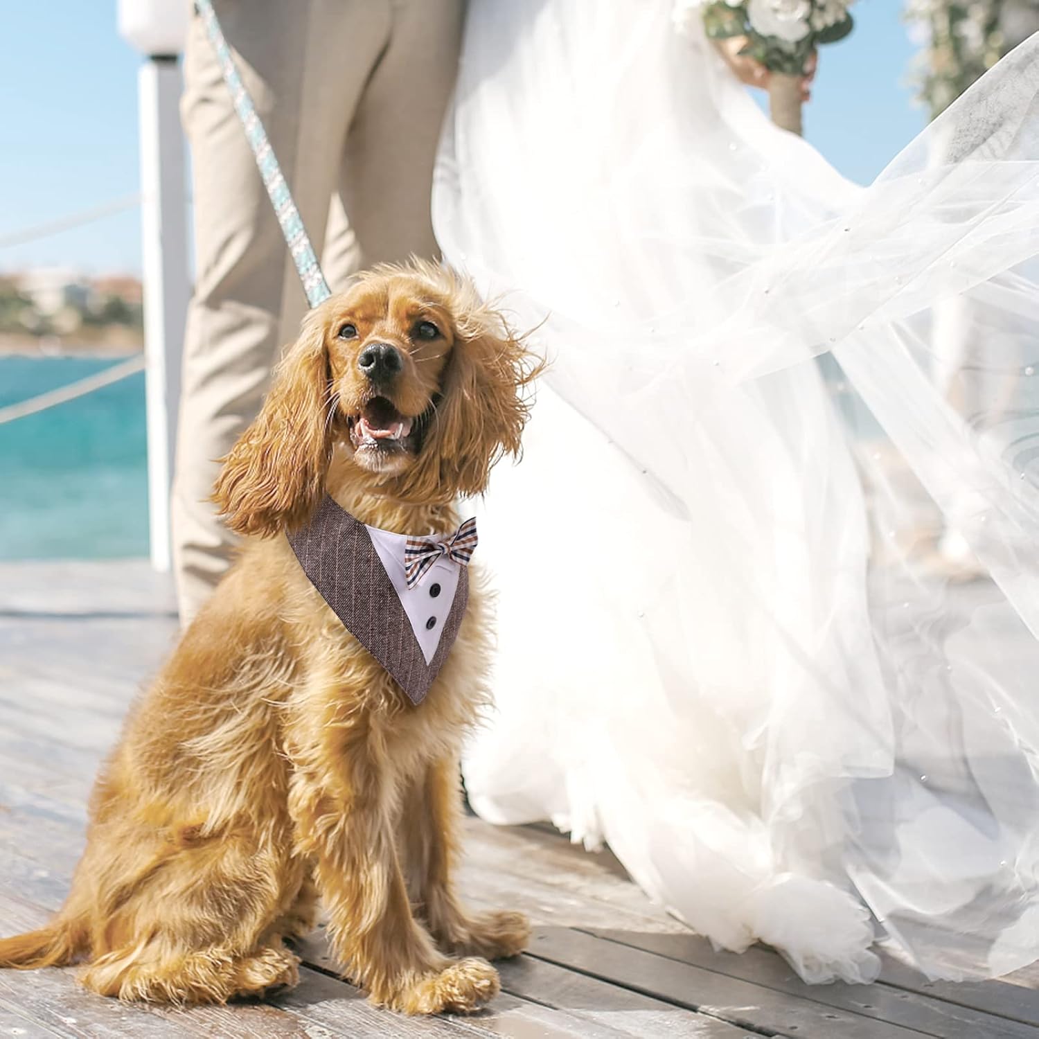 Muszka na ŚLUB WESELE regulowany dla PSA KOTA