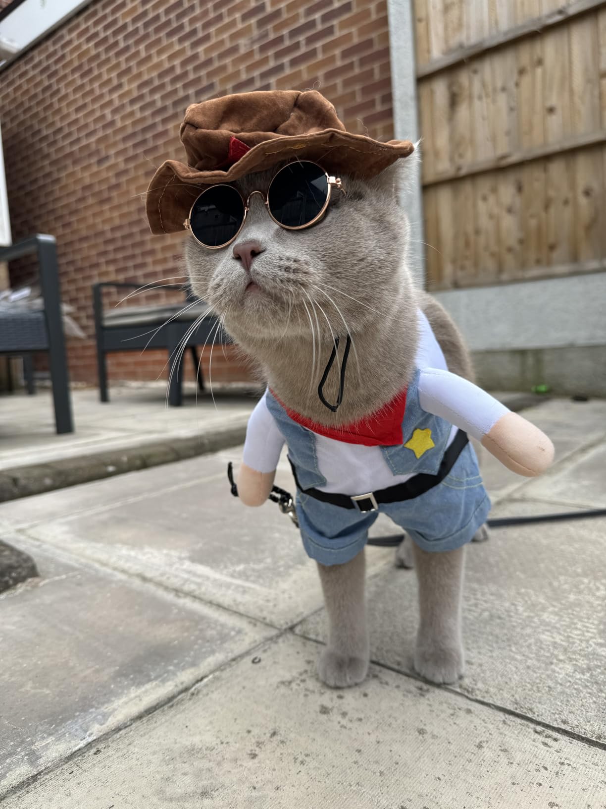 Kostium Szeryfa dla kota psa AKCESORIA HALLOWEEN