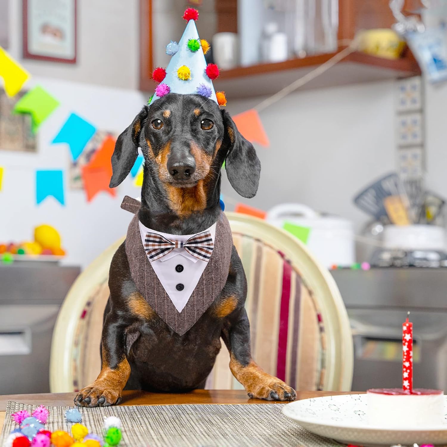 Muszka na ŚLUB WESELE regulowany dla PSA KOTA