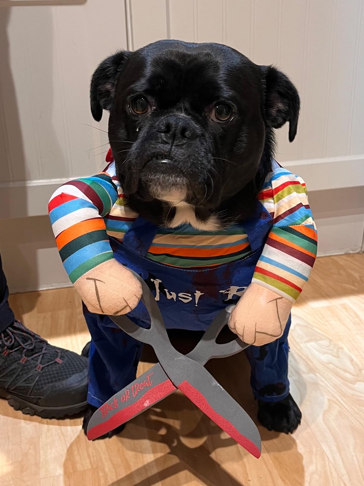 KOSTIUM CHUCKY Z NOŻYCZKAMI HALLOWEEN