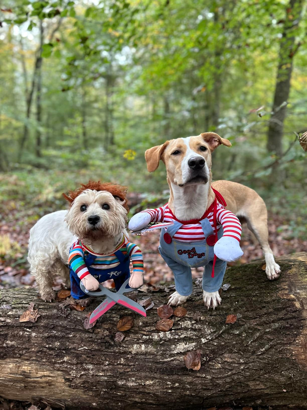 KOSTIUM CHUCKY Z NOŻYCZKAMI HALLOWEEN