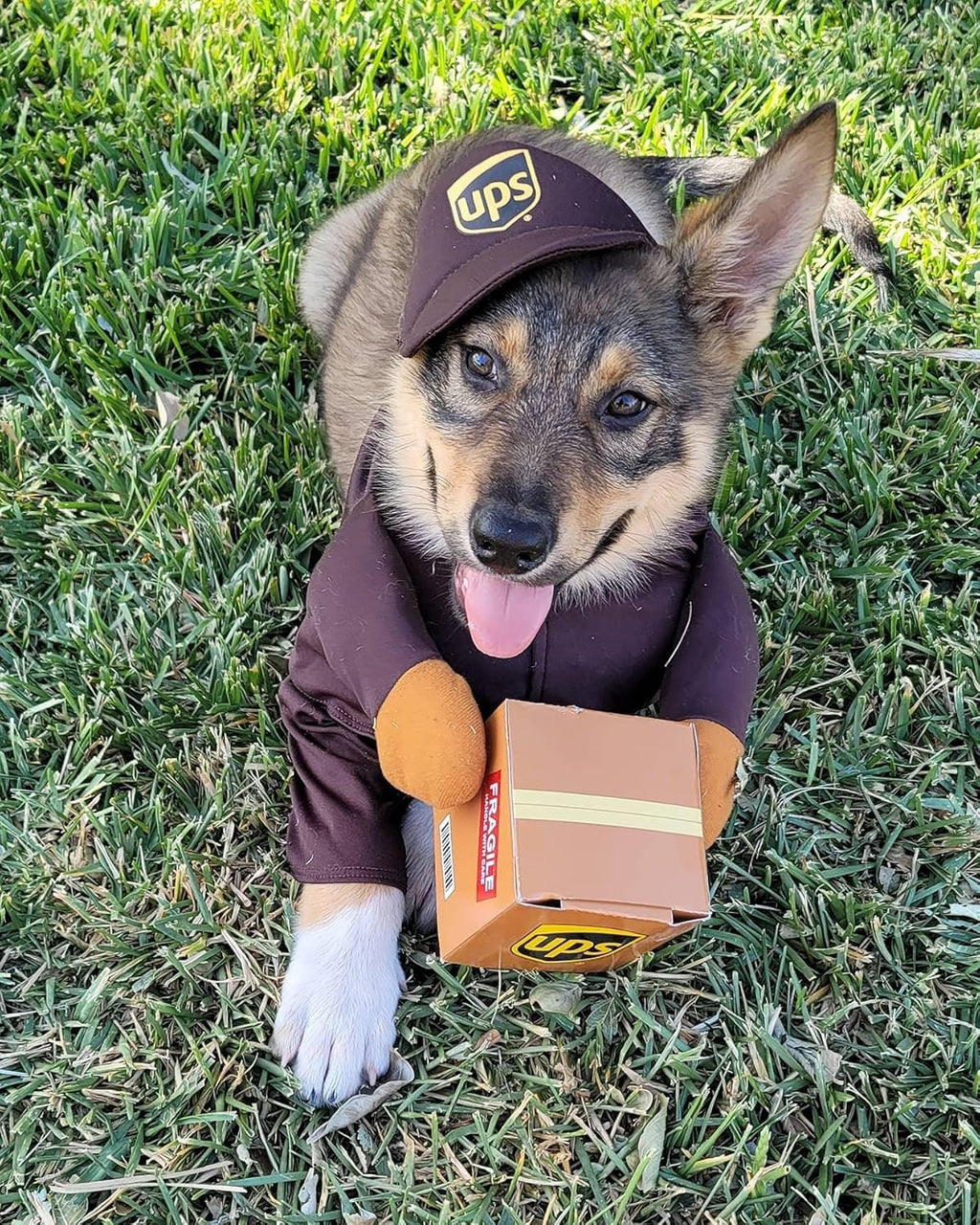 Przebranie Kurier UPS express