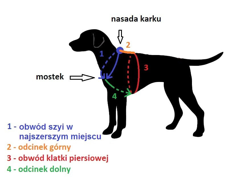 Przebranie Kurier UPS express